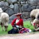 Choquequirao